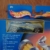 Detail Center Anlage Hot Wheels Bahn Spielzeug Auto Set Rennbahn Mattel 2002 NEU