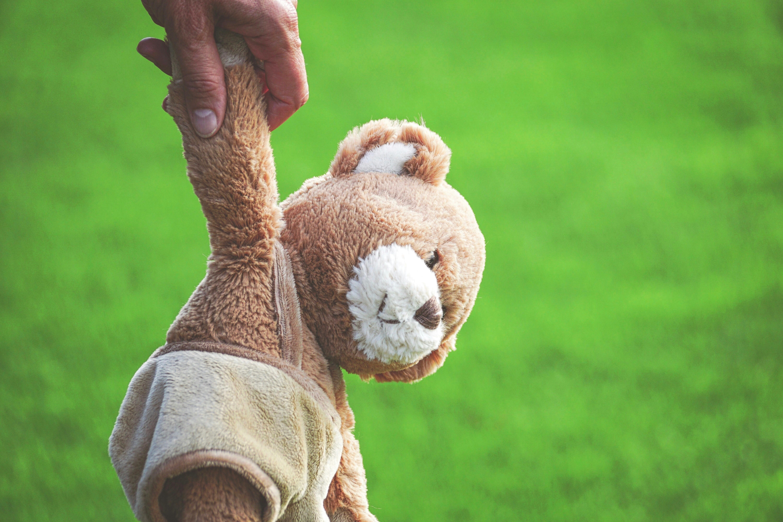 Foto Der Person, Die Braunen Teddybär Hält